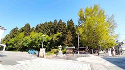大銀杏と熊野の森2023.5.1.jpg